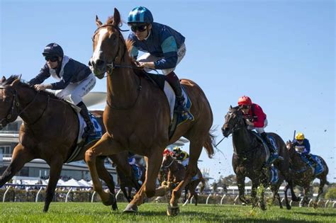 danehill stakes|Danehill Stakes .